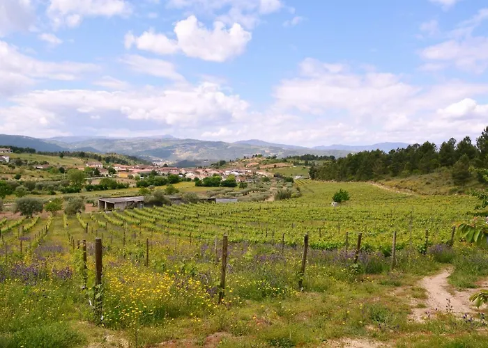 펜션 Casas De Selhariz *